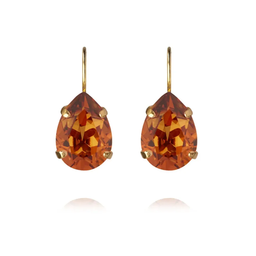Mini Drop Clasp Earrings
