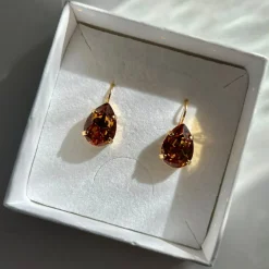 Mini Drop Clasp Earrings