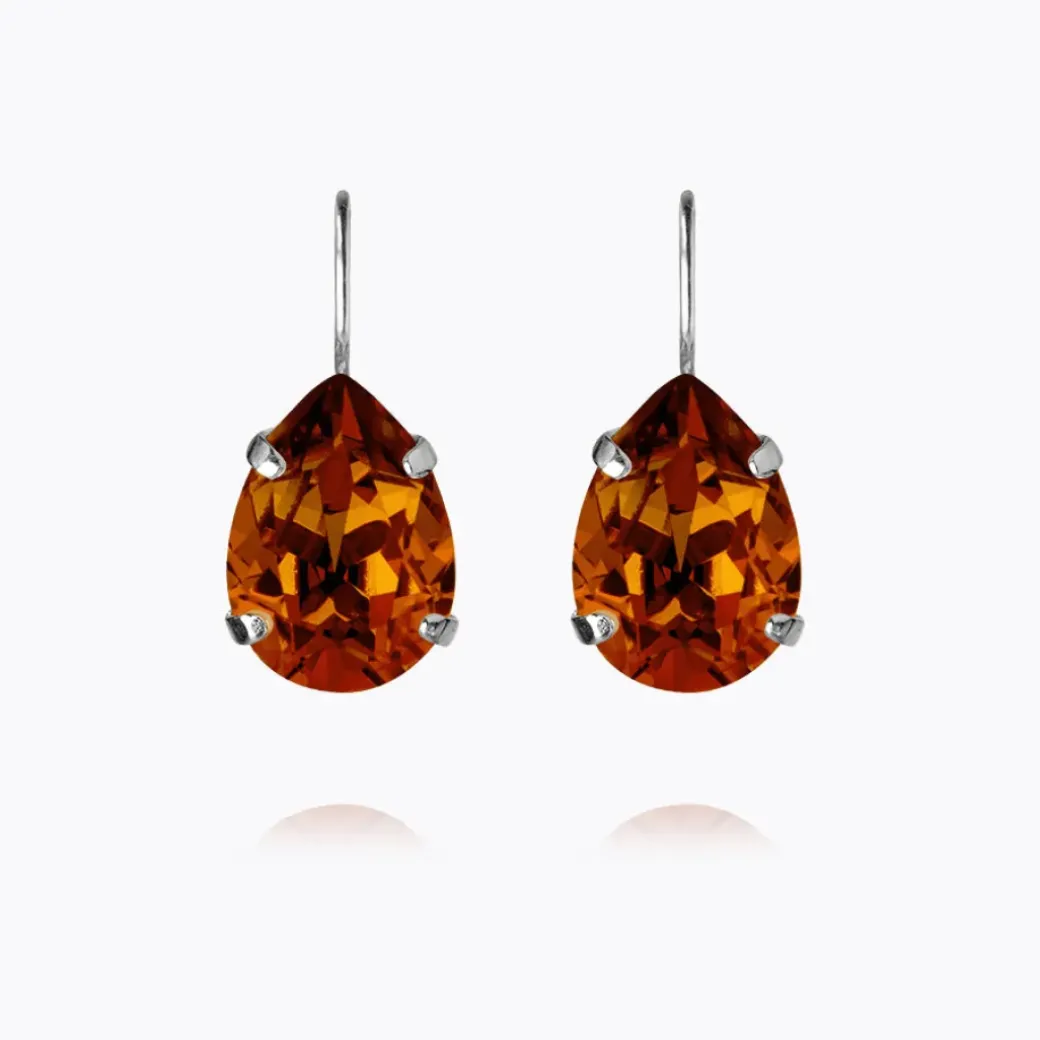 Mini Drop Clasp Earrings