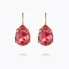 Mini Drop Clasp Earrings