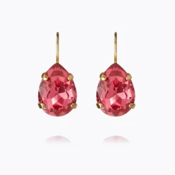Mini Drop Clasp Earrings