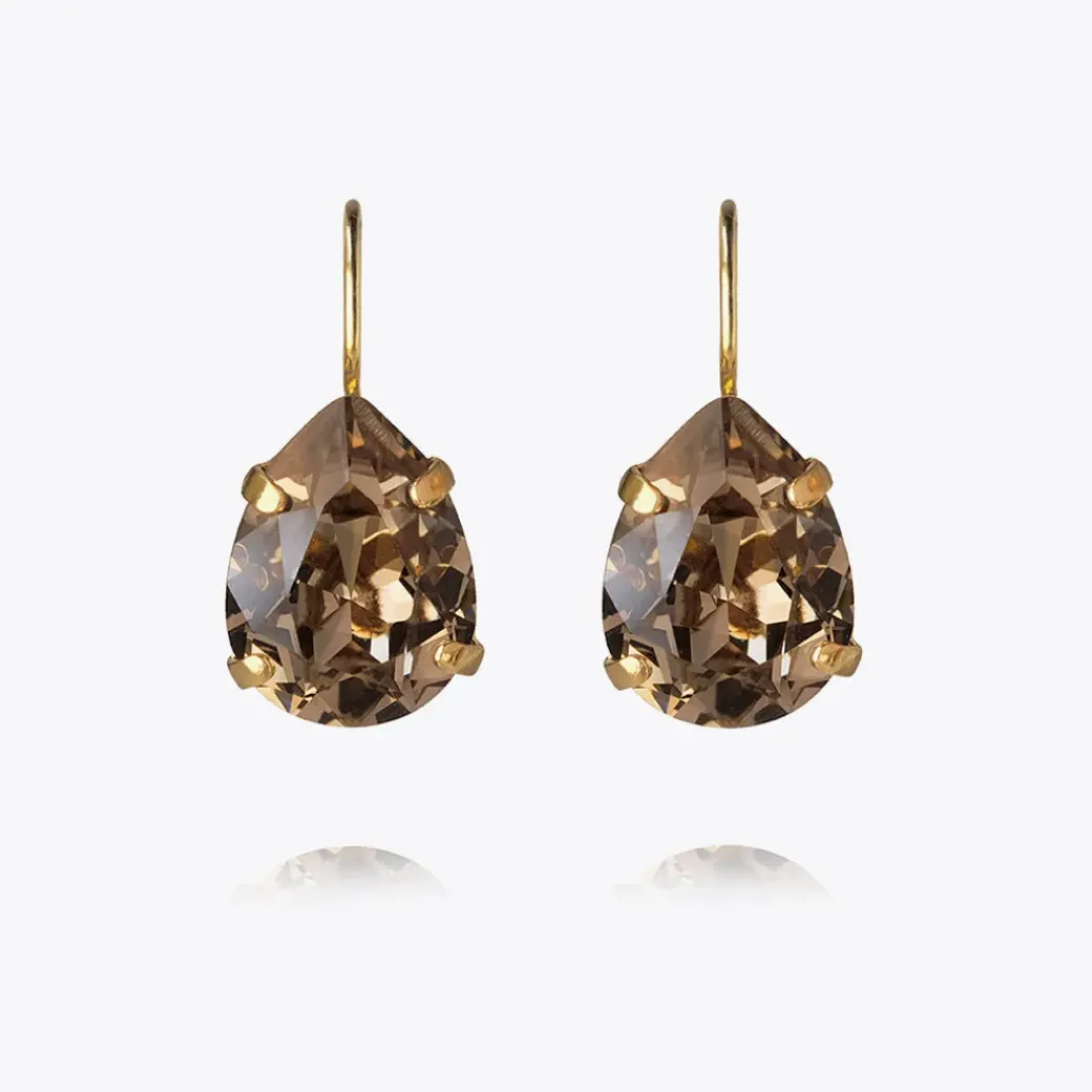 Mini Drop Clasp Earrings