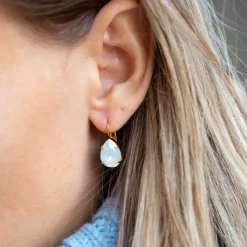 Mini Drop Clasp Earrings