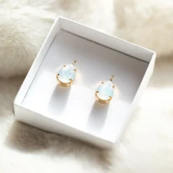 Mini Drop Clasp Earrings