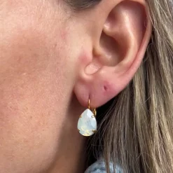 Mini Drop Clasp Earrings
