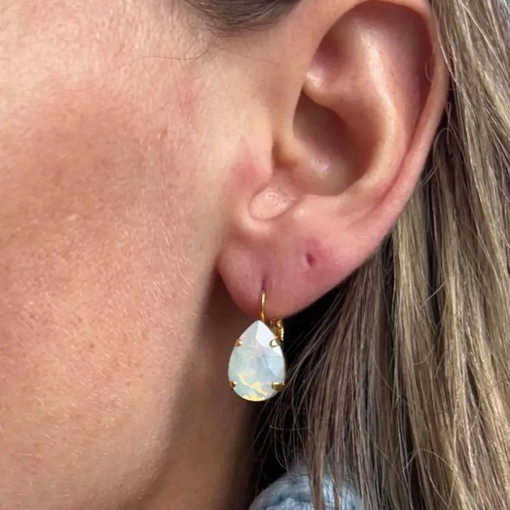 Mini Drop Clasp Earrings