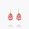 Mini Drop Clasp Earrings