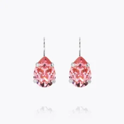 Mini Drop Clasp Earrings