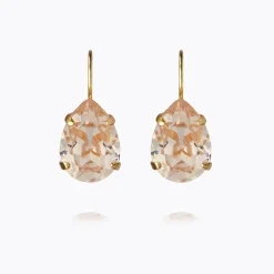 Mini Drop Clasp Earrings