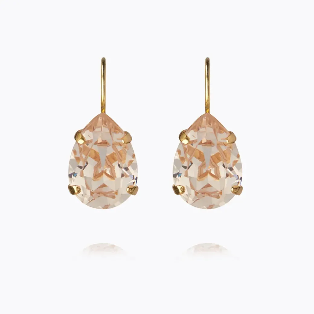 Mini Drop Clasp Earrings