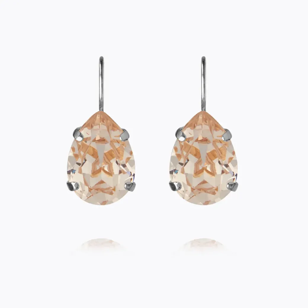 Mini Drop Clasp Earrings