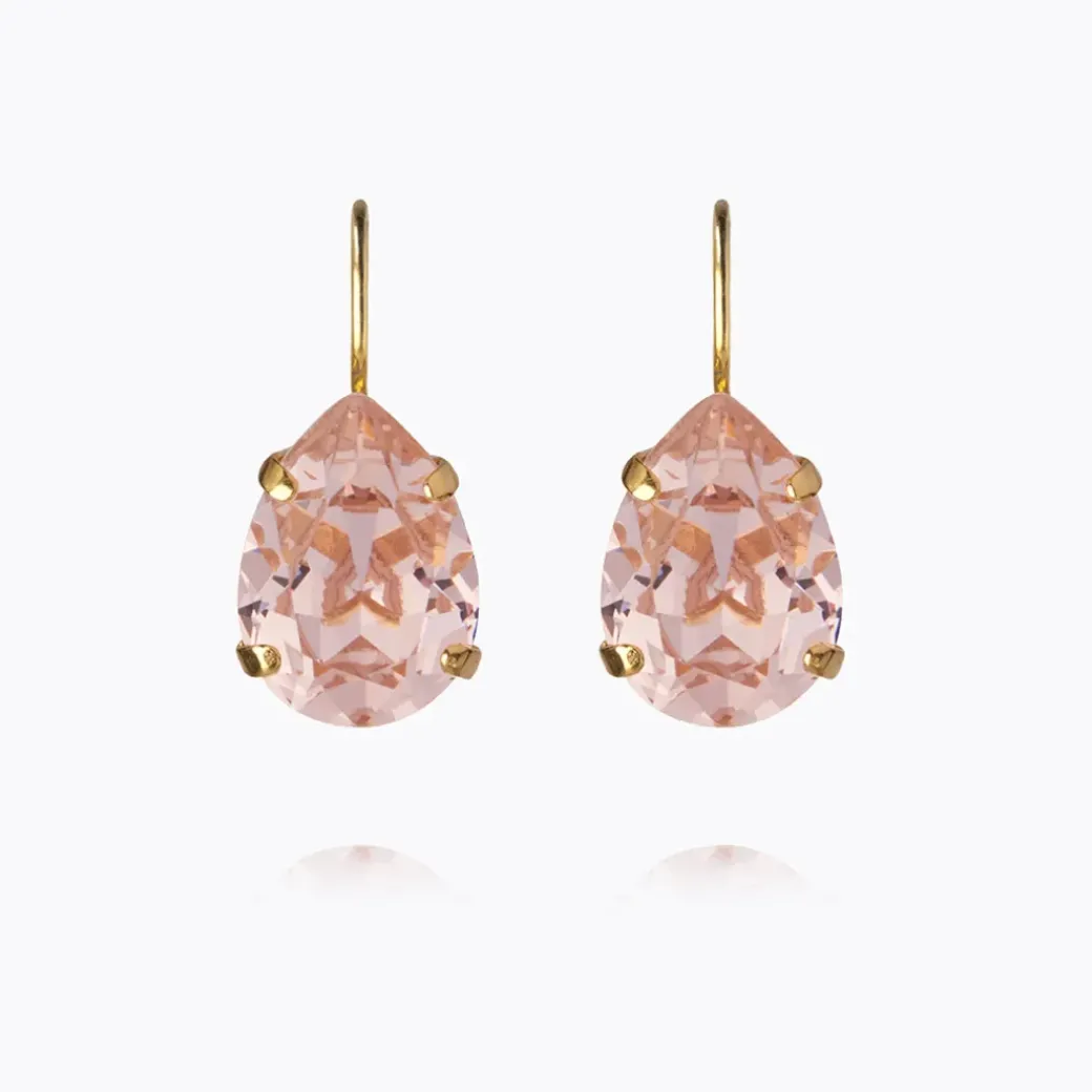 Mini Drop Clasp Earrings