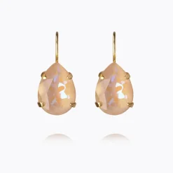 Mini Drop Clasp Earrings