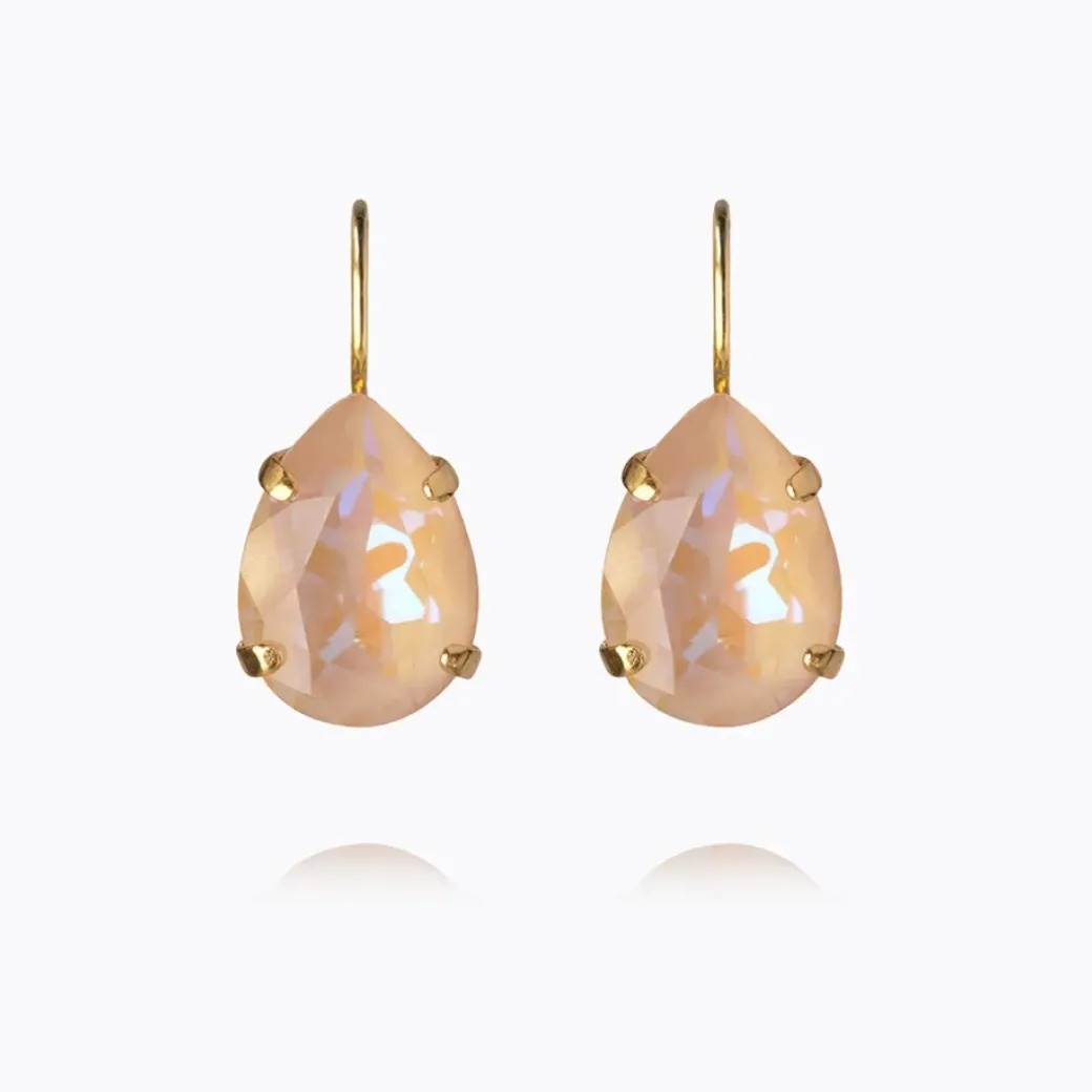 Mini Drop Clasp Earrings
