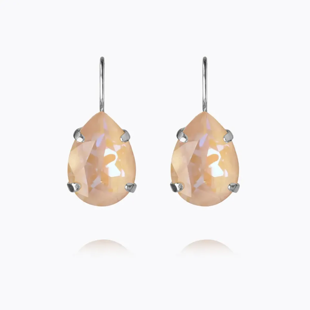 Mini Drop Clasp Earrings