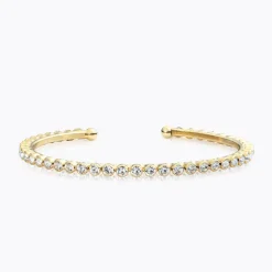 Siri Bangle