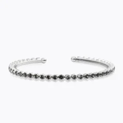 Siri Bangle